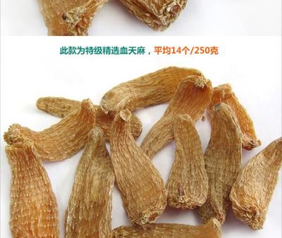 血天麻與天麻區別