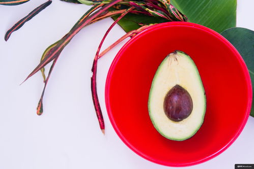 食品 水果 鱷梨 石頭 植物 葉 美食攝影圖片圖片壁紙 美食攝影圖片圖片壁紙