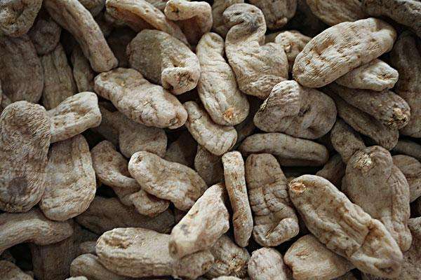 略陽縣天麻資源綜合開發(fā)項(xiàng)目