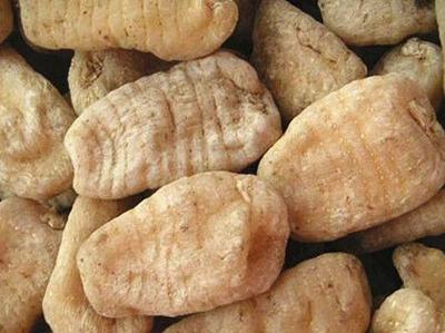 天麻報(bào)價(jià)