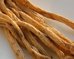 即墨古城年味濃 趕年集購(gòu)隴南天麻，賞白馬人歌舞迎新春